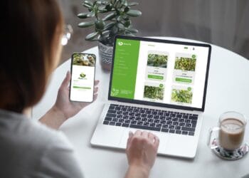 Avovite