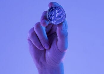 cripto
