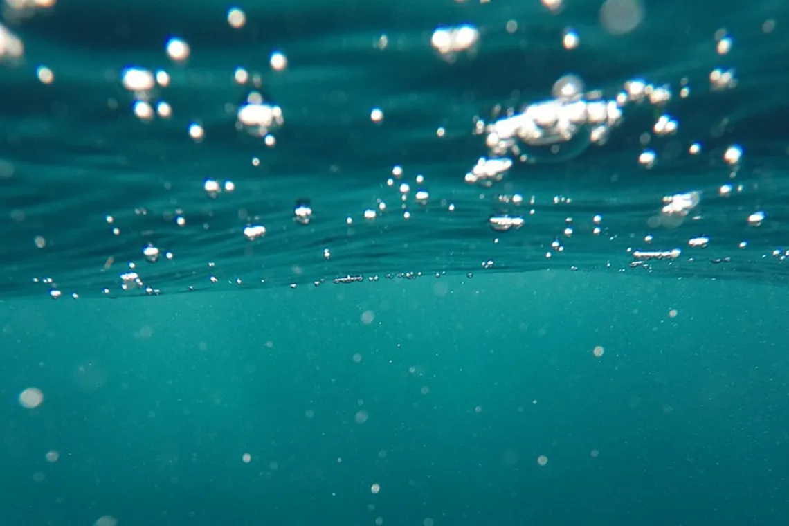 submarina 