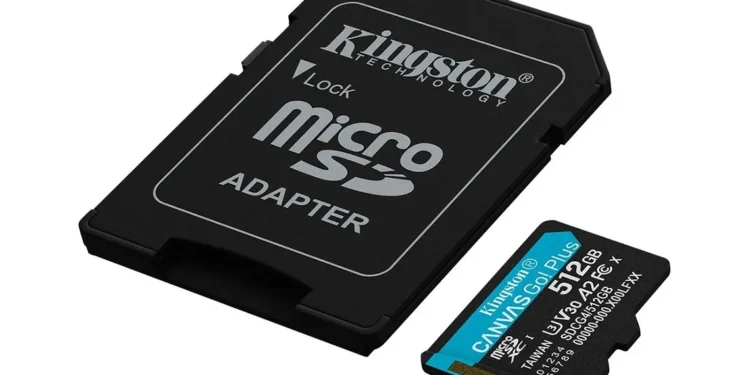 microSD Canvas Go