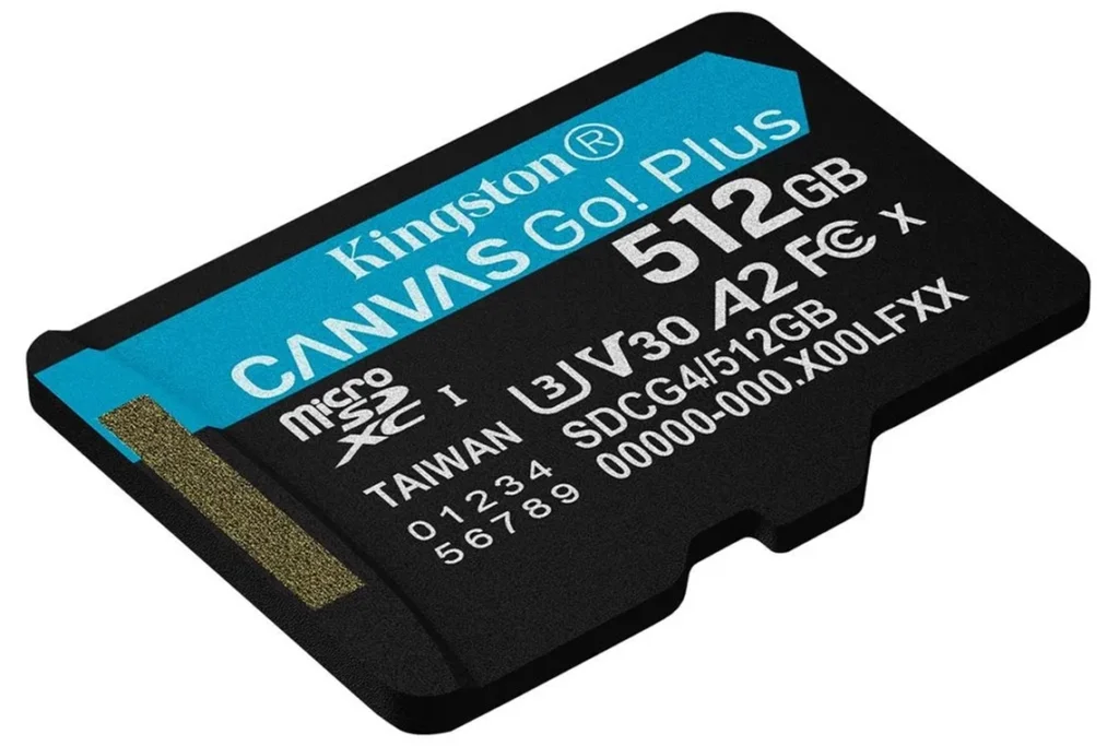 microSD Canvas Go